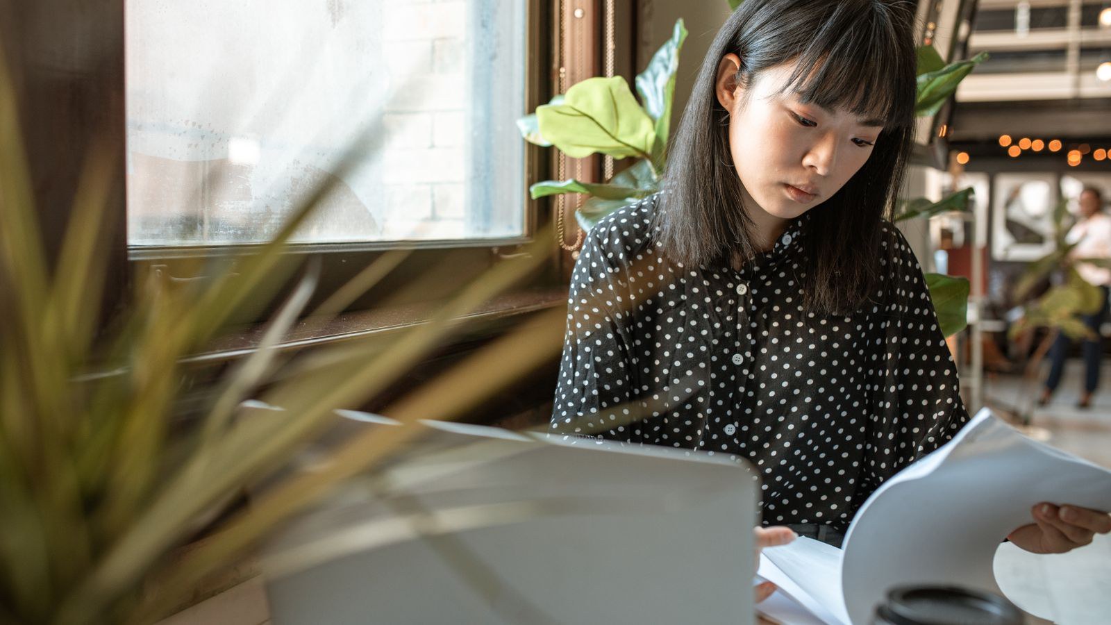Các bước của một gói thầu qua mạng